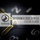 Skydrum & Soul Player - Future Is Now (Original Mix)
