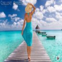 The Warheads - Nawashi