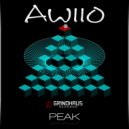Awiio - Peak (Original Mix)