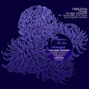 14anger - The New Throne