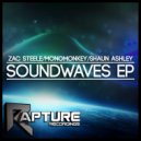 Shaun Ashley - Soundwaves (Monomonkey Remix)