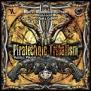 Psynetika - Hybrid Star (Quarion Tribe Mix)