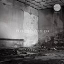 O.P.L - Bug Is Closed 02 (JoyB Remix)