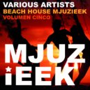 Pray For More - Beach House Mjuzieek, Vol. 5