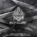 Mystery & Kosine - Ninja Bizness