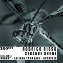 Rodrigo Risso - Strange Drone
