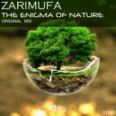 ZamirUfa - The Enigma of Nature