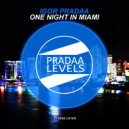 DJ Igor PradAA - One Night In Miami (Original Mix)