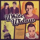 Brusikiewicz - D.I.P.