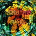 Cerebral Theory - Blindsides (Original Mix)