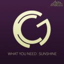 Karl G - What You Need (Original Mix)