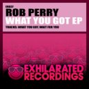 Rob Perry - What You Got (Original Mix)
