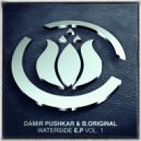 Damir Pushkar & B.Original - I\'m Walkng (Original Mix)