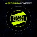 DJ Igor PradAA - Spaceman (Original Mix)
