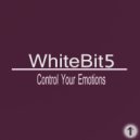 WhiteBit5 - Control Your Emotions (Original Mix)