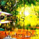 GINS - Mystery Dish (Original Mix)
