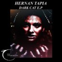 Hernan Tapia - Bad Guy (Original mix)