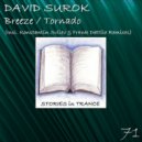 David Surok - Tornado