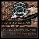 Bart Shadow - Curing Frequencies (Motormorfoses Remix)