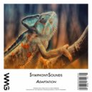 SymphonySounds - Adaptation