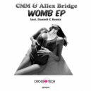 Cmm, Allex Bridge - W13