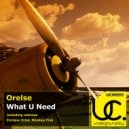 Orelse - What U Need (Enrique Echd Remix)