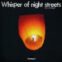 Eva Schlegel - Whisper of Night Streets