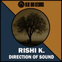 Rishi K. - Direction Of Sound
