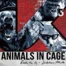 Animals In Cage - Jackdaws Attack