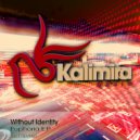 Without Identity - Euphoria (The Sound Brothers Remix)