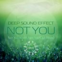 Deep Sound Effect - Not You