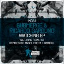 Submerge, Ricardo Garduno - Watching