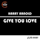 Harry Arnold - Give You Love (Original Mix)