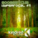 Boombatcha - Kindred (Alveol In Rapture Remix)