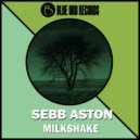 Sebb Aston - Pillngwi