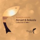 Almost Famous - Inspiration (Aknael & Bekeela Remix)