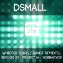DSmall - Whisper Tears (Norbacyos Remix)