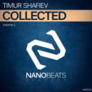 Timur Shafiev feat. ANDRU - Connecting Parts