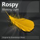 Rospy - Blinking Light