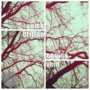 Nick Britton - The Wizard's Edge