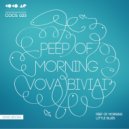 Vova Biviai - Peep Of Morning (Original Mix)