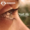 NatLife Feat. Inesse - Road To The Far East (Asia 2011) (Original Mix)
