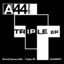 David Somerville - Triple (3CatsDeep \'Like This\' Remix)