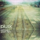Plusk - Passage (Sonic Saturation Remix)