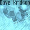 Dave Bridson - Bring Me Back To Life (Original Mix)