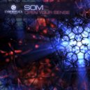 SOM - Shiva (Rework 2013)