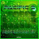 Pacific 3 - No Anxiety (Gianrico Leoni Tech Mix)