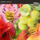NewWave - Like This (Original Mix)