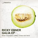 Ricky Ebner - Following