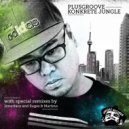 Plusgroove - Konkrete Jungle (Innerface Remix)